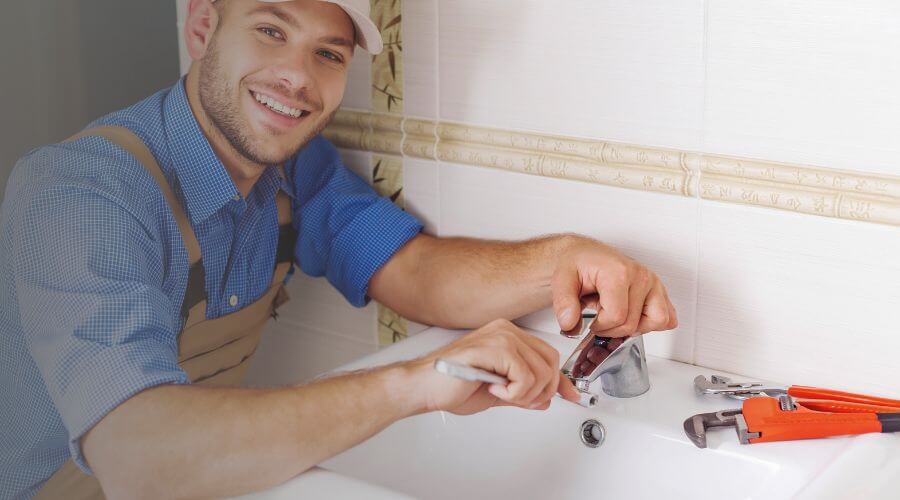 Professional Leak Detection Services services in Laurel Bloomery, TN